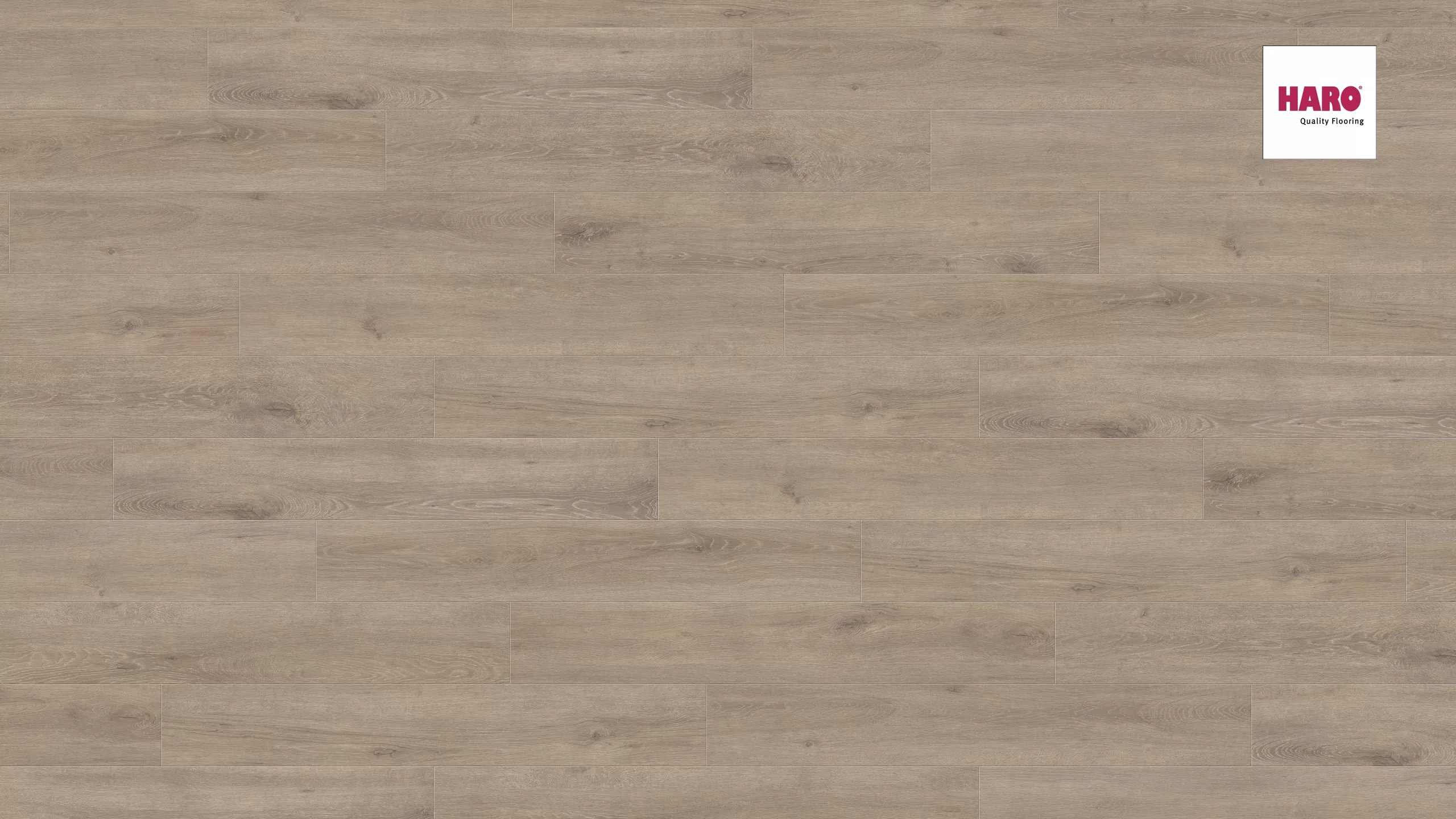 lamināts HARO aqua 537373