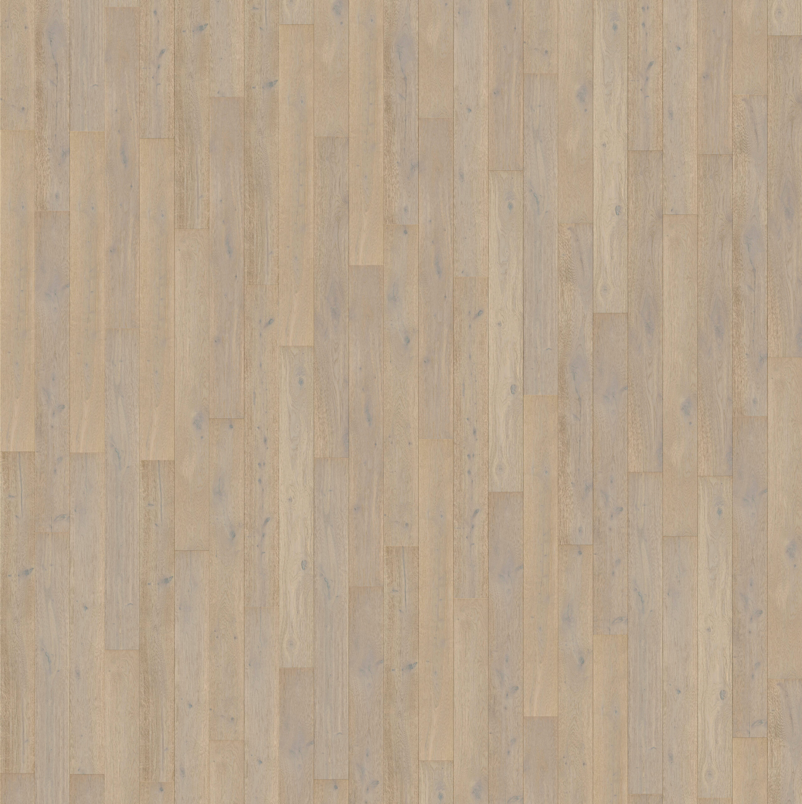 Trīsslāņu parkets Quick-Step White daisy oak extra matt MAS5102S