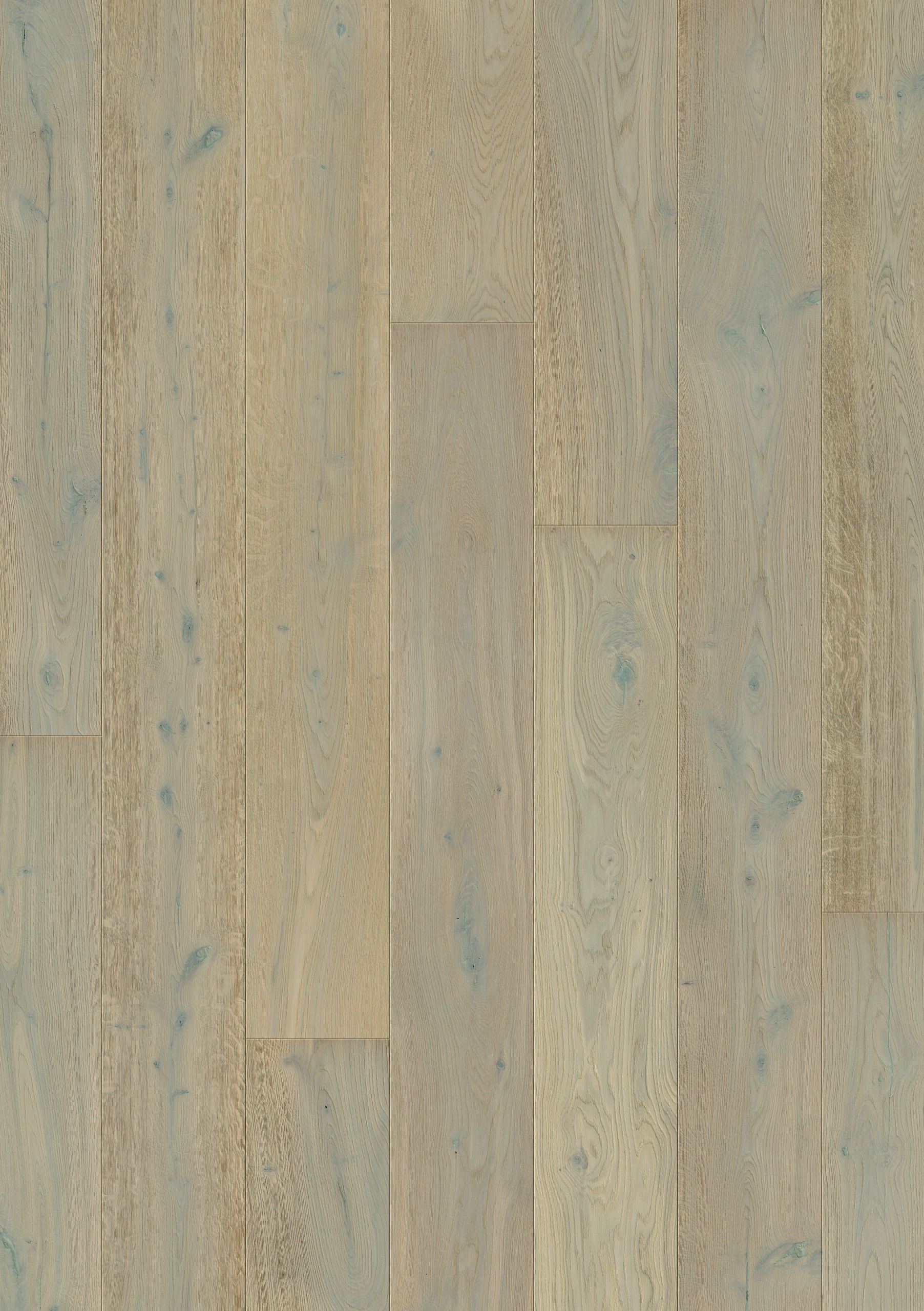 Trīsslāņu parkets Quick-Step White daisy oak extra matt MAS5102S
