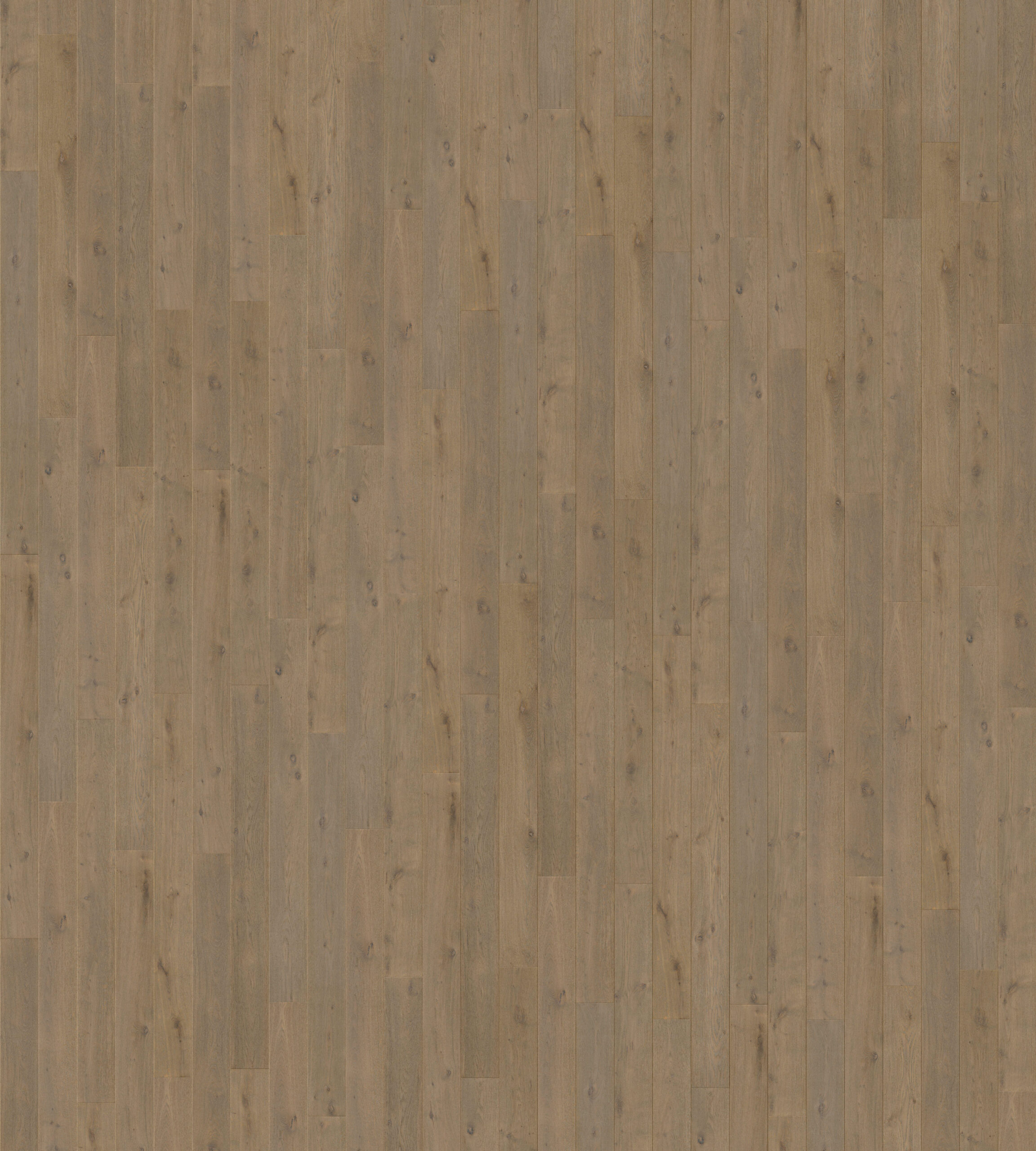 Trīsslāņu parkets Quick-Step Imperio Light royal oak oiled IMP5103S Interior