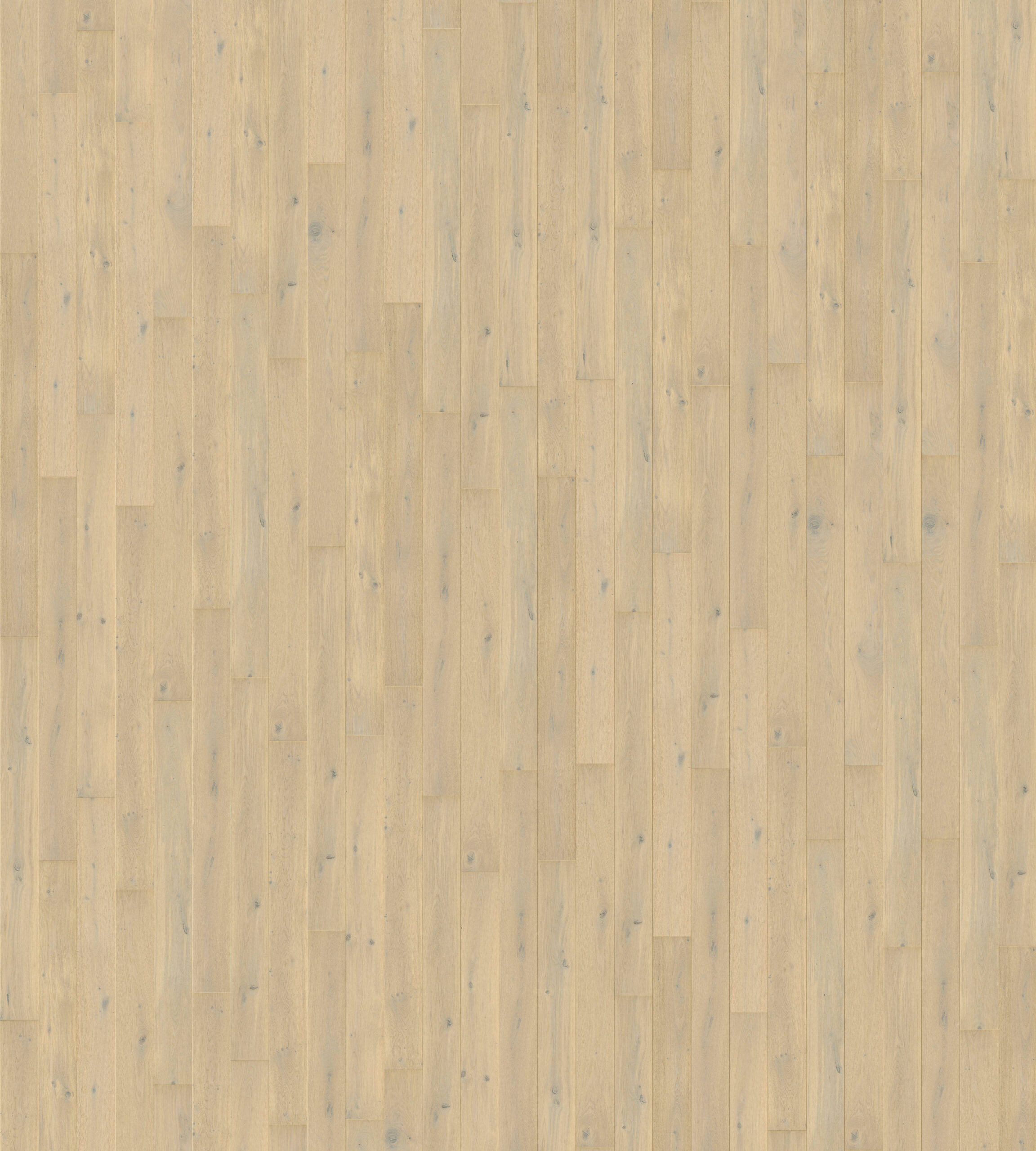 Trīsslāņu parkets Quick-Step Imperio Angelic white oak extra matt IMP5105S 3D-Texture