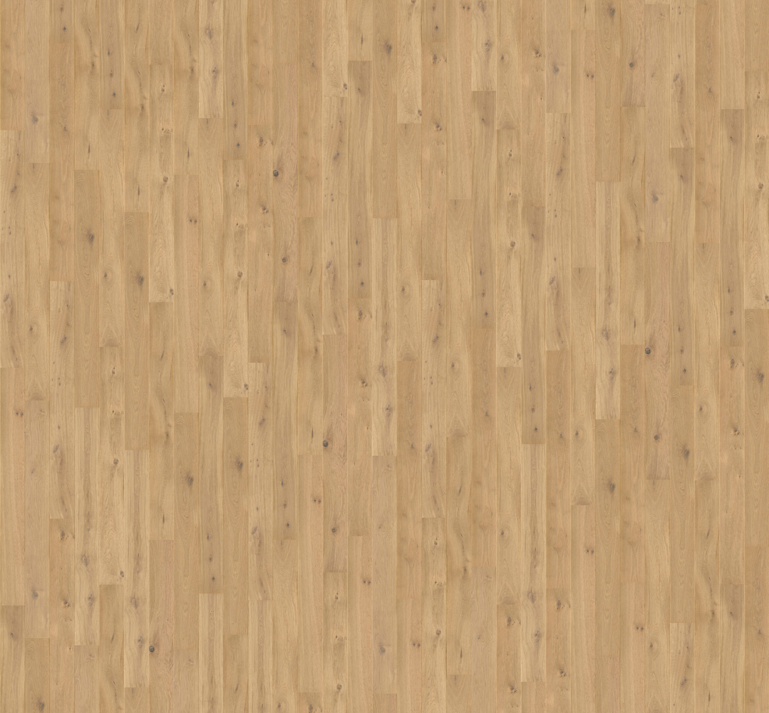 Trīsslāņu parkets Quick-Step Palazzo Pure oak extra matt PAL3100S 3D-Texture