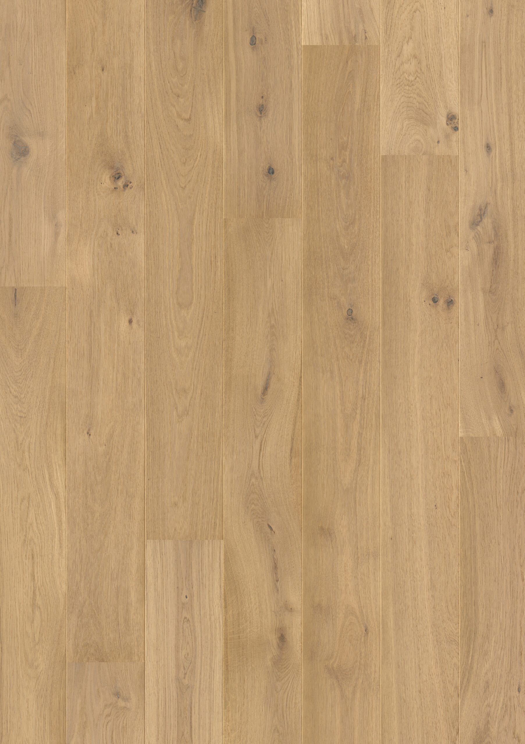 Trīsslāņu parkets Quick-Step Palazzo Pure oak extra matt PAL3100S Topshot