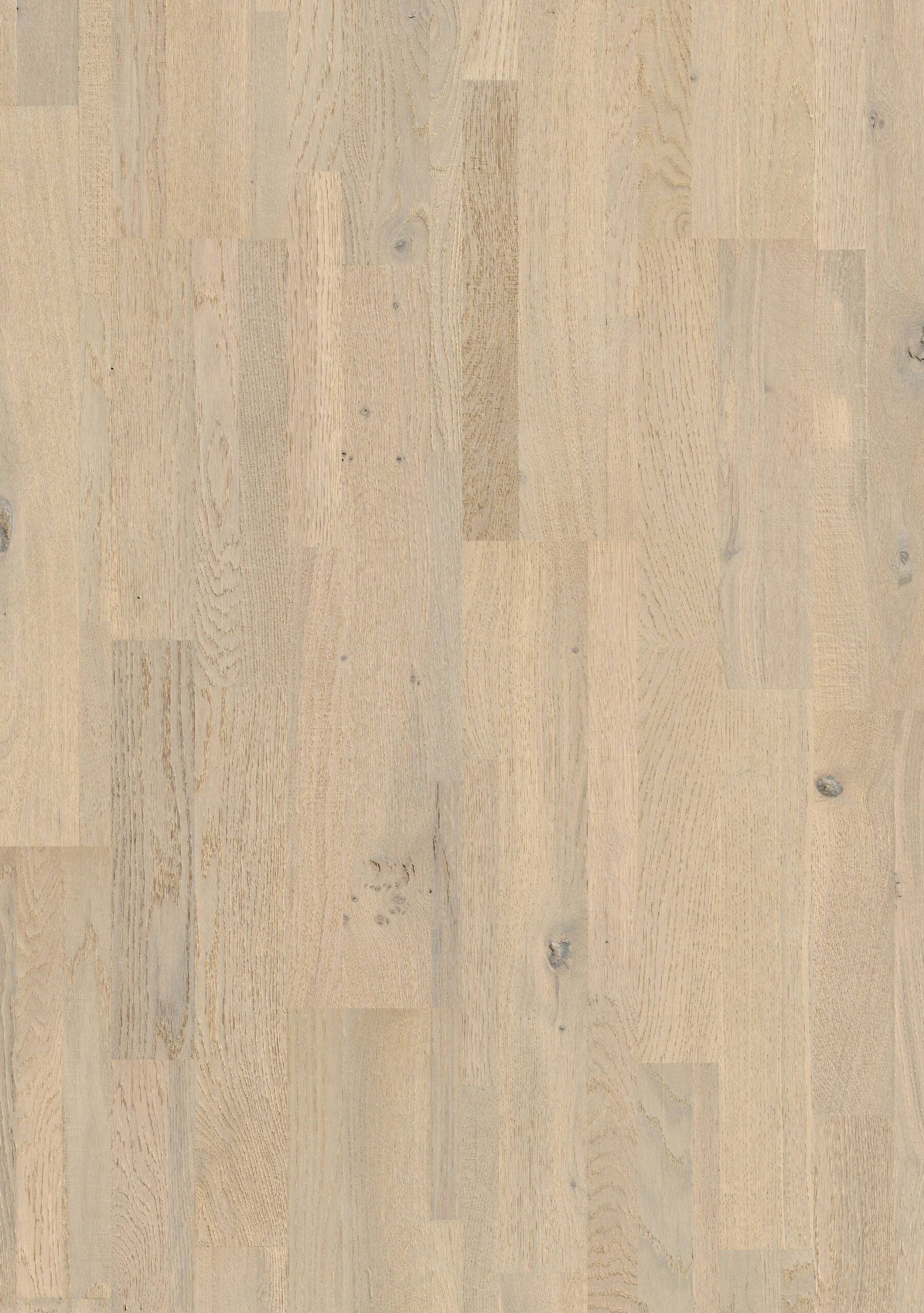 Trīsslāņu parkets Quick-Step Variano Pacific oak extra matt VAR5114S Topshot