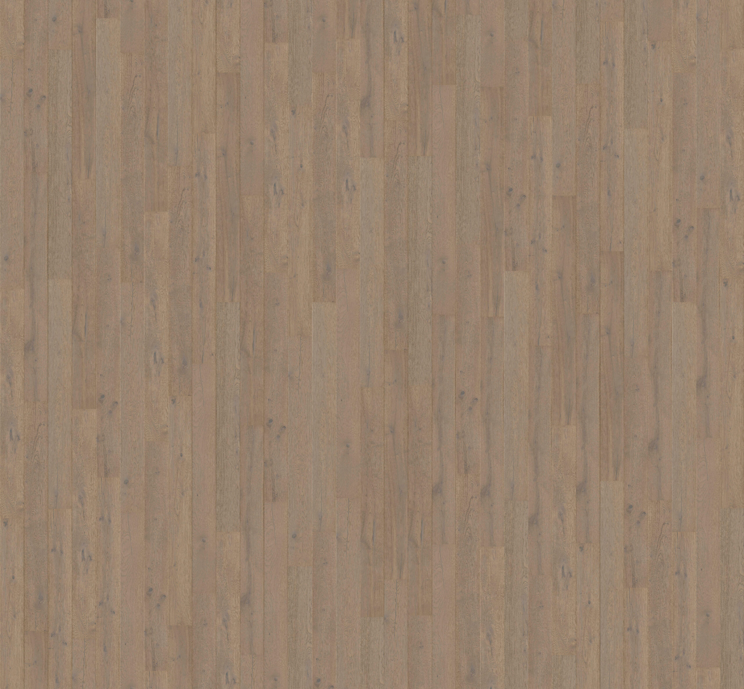 Trīsslāņu parkets Quick-Step Compact Grande Cotton grey oak extra matt COMG5112 3D-Texture