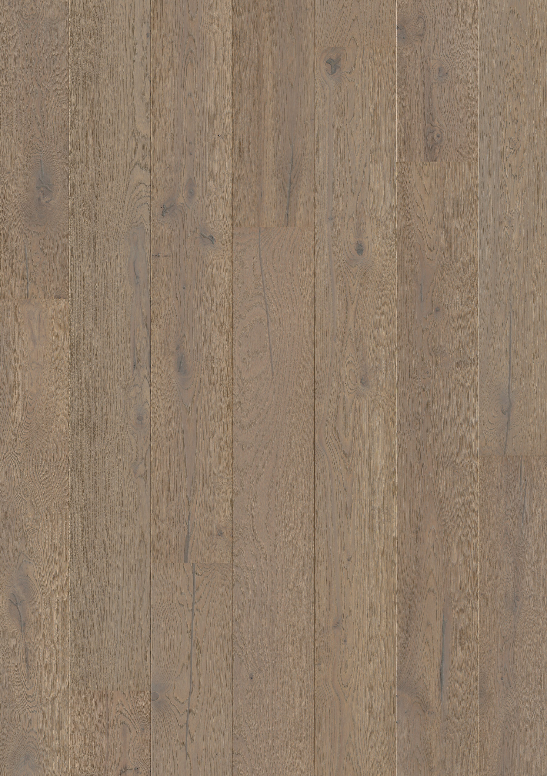 Trīsslāņu parkets Quick-Step Compact Grande Cotton grey oak extra matt COMG5112 Topshot