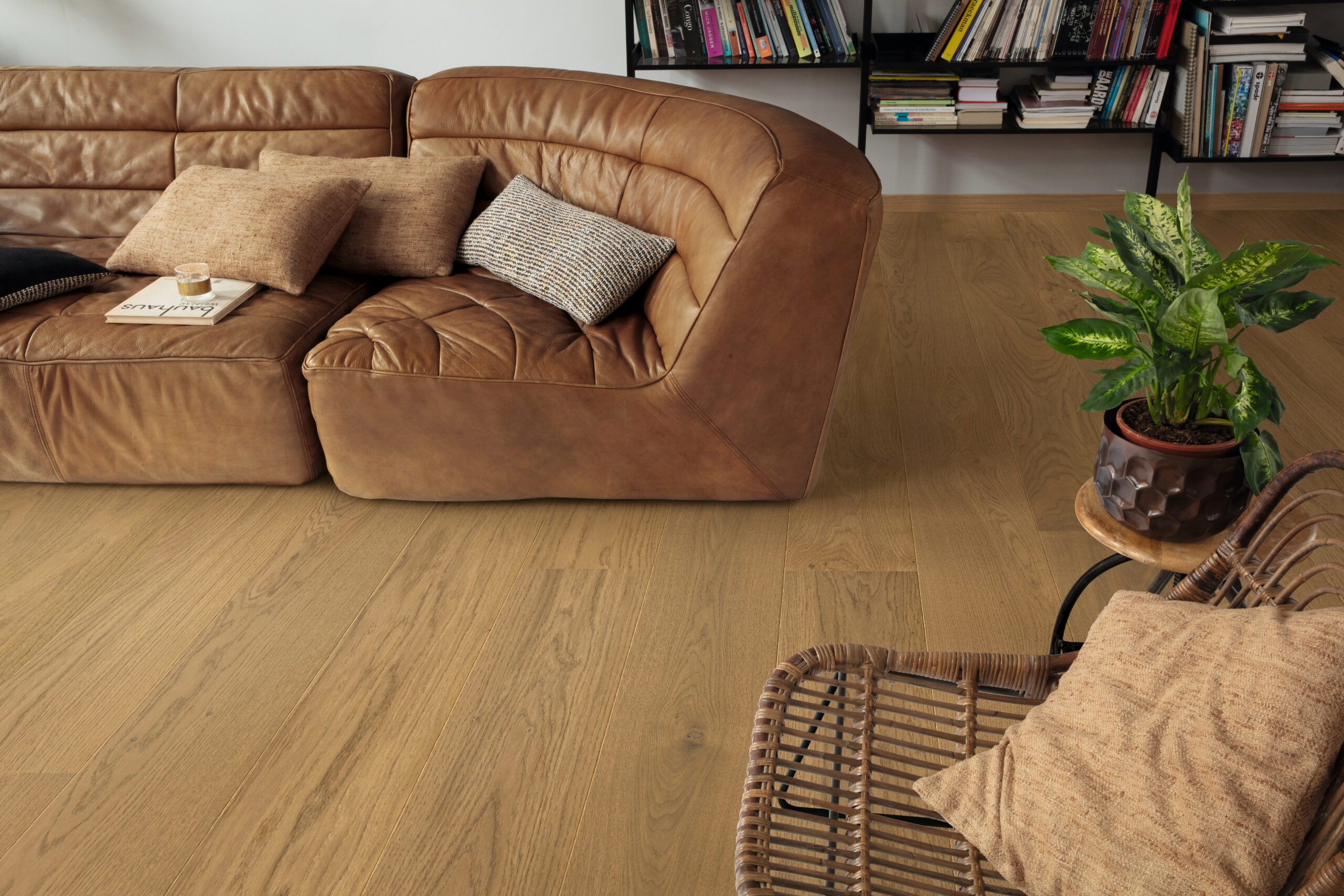 Trīsslāņu parkets Quick-Step Compact Grande Light chestnut oak extra matt COMG5113