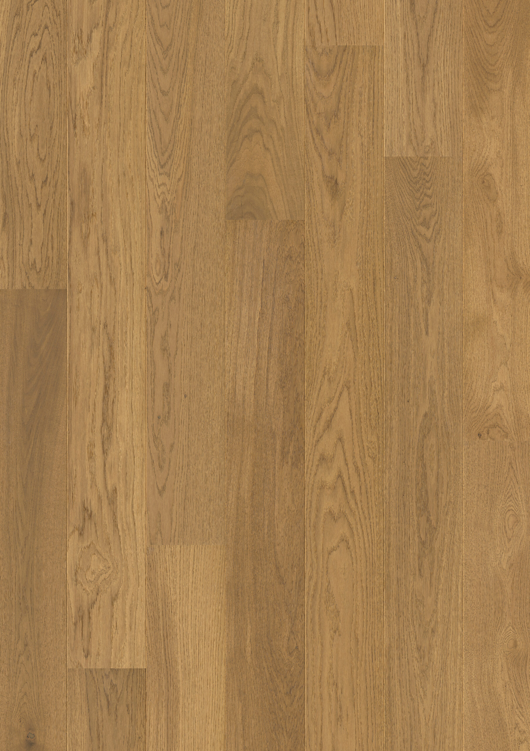 Trīsslāņu parkets Quick-Step Compact Grande Light chestnut oak extra matt COMG5113 Topshot