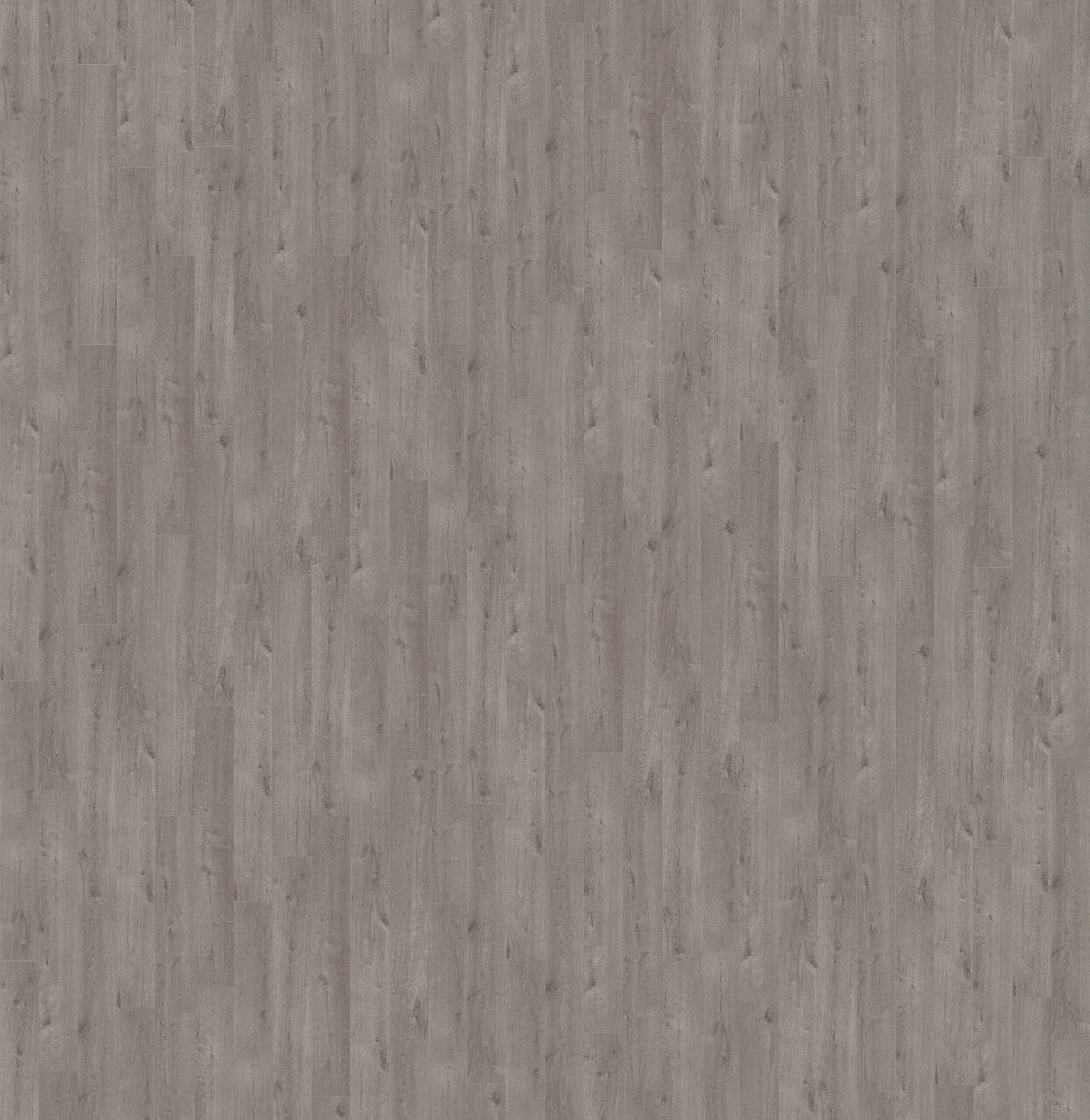 Vinyl flooring Quick-Step Bloom Cotton oak cozy grey AVMPU40202