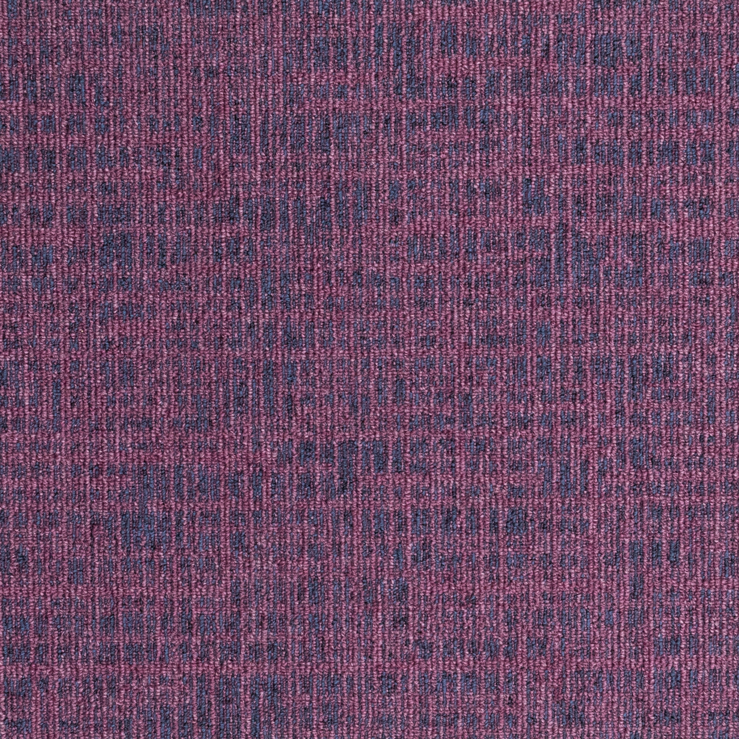 paklajflizes-ivc-balanced-hues-455