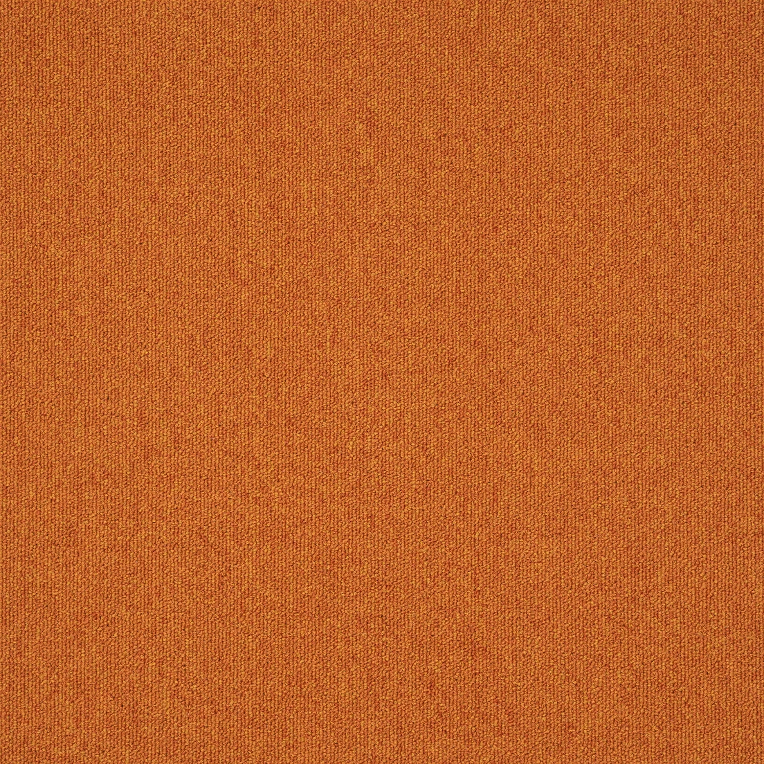 paklajflizes-ivc-creative-spark-232