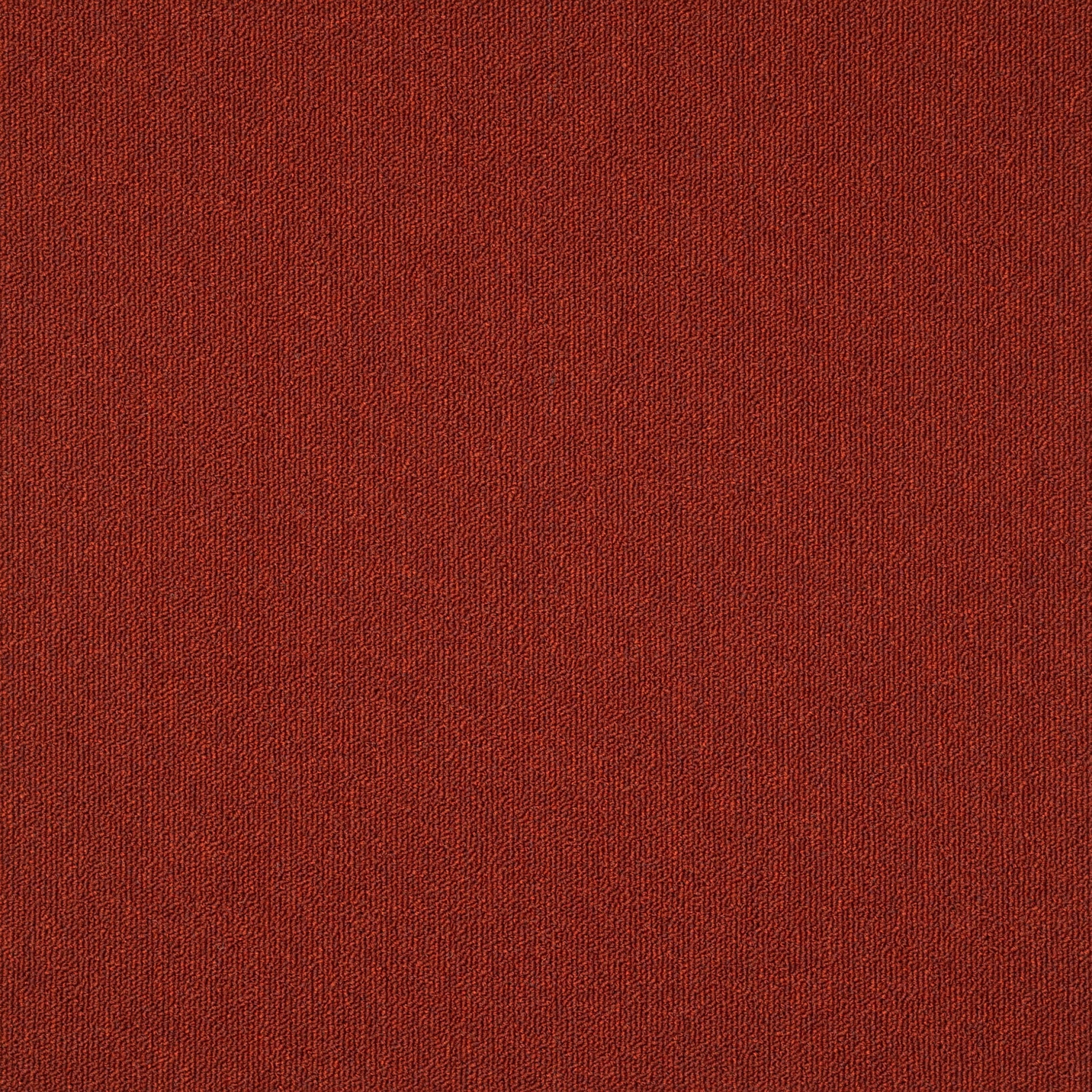 paklajflizes-ivc-creative-spark-310