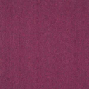 paklajflizes-ivc-creative-spark-467