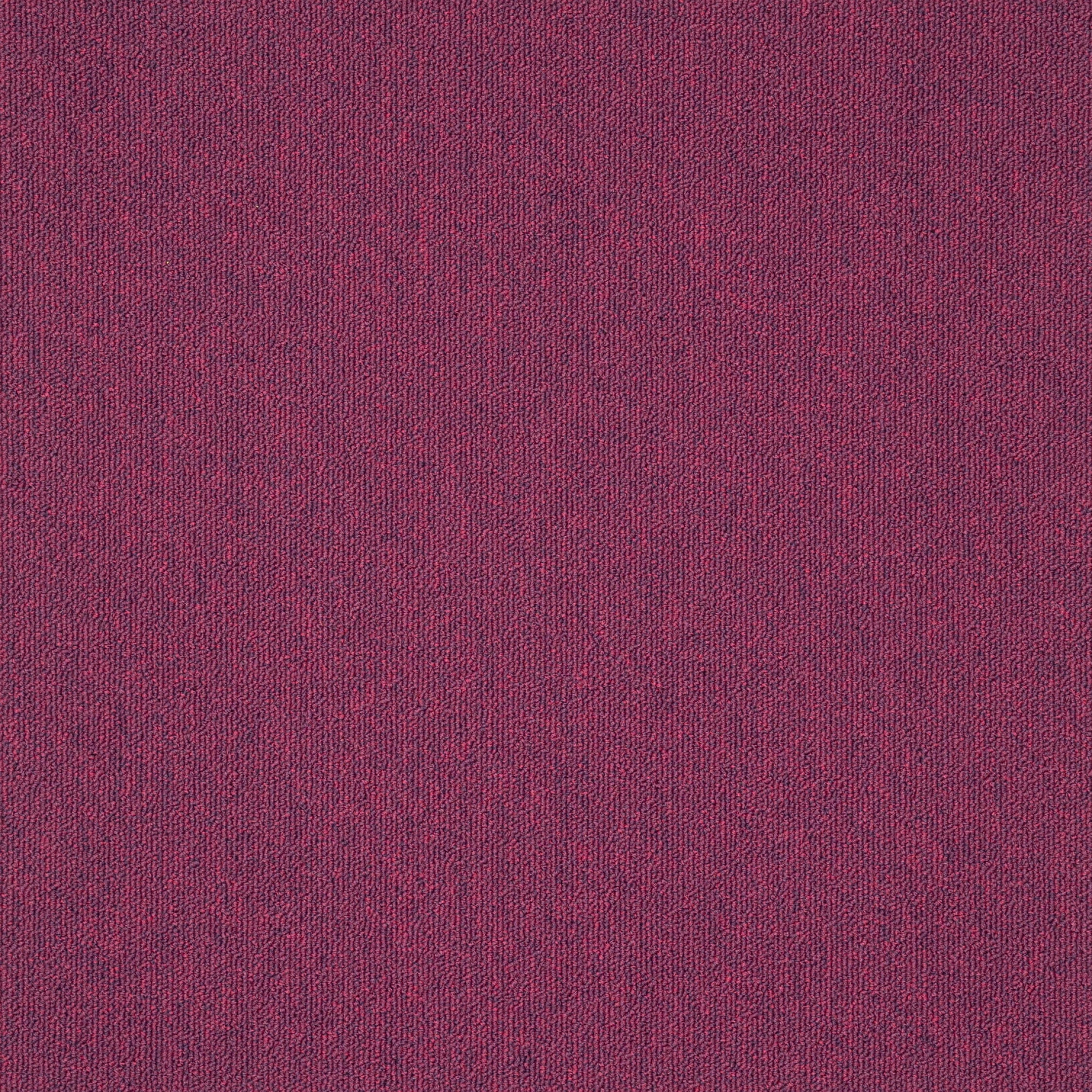 paklajflizes-ivc-creative-spark-467