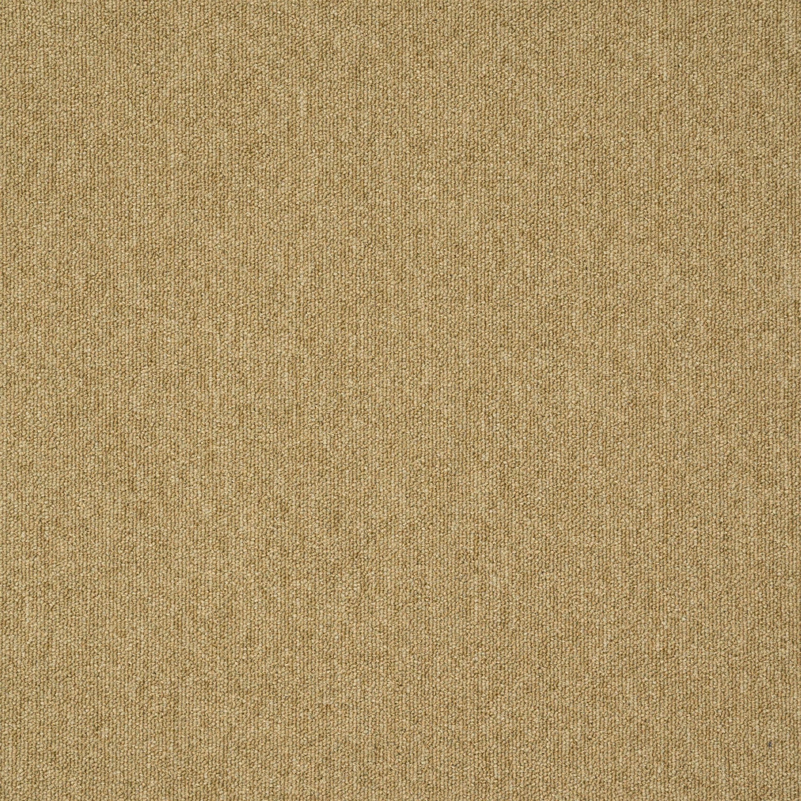 paklajflizes-ivc-creative-spark-627