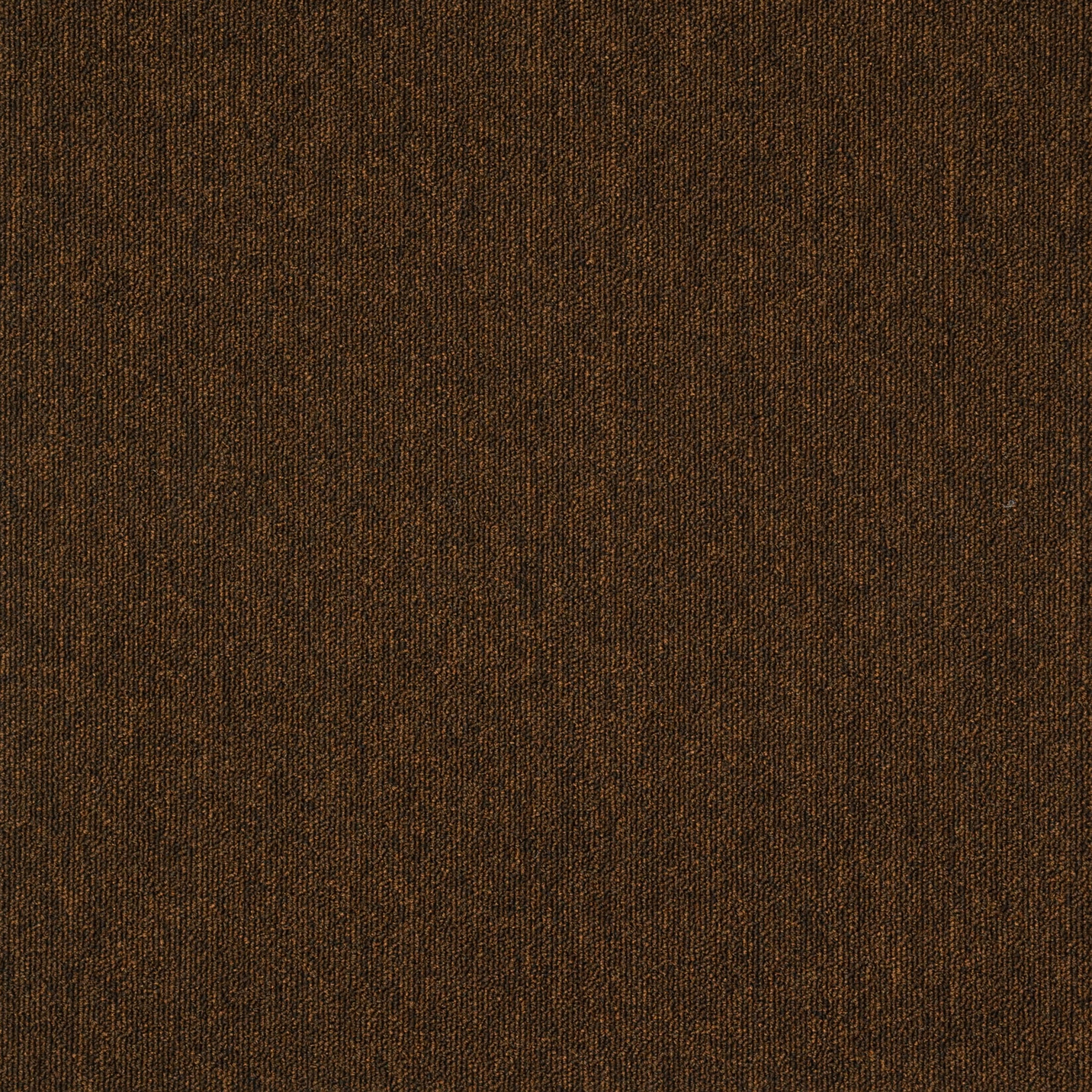 paklajflizes-ivc-creative-spark-838