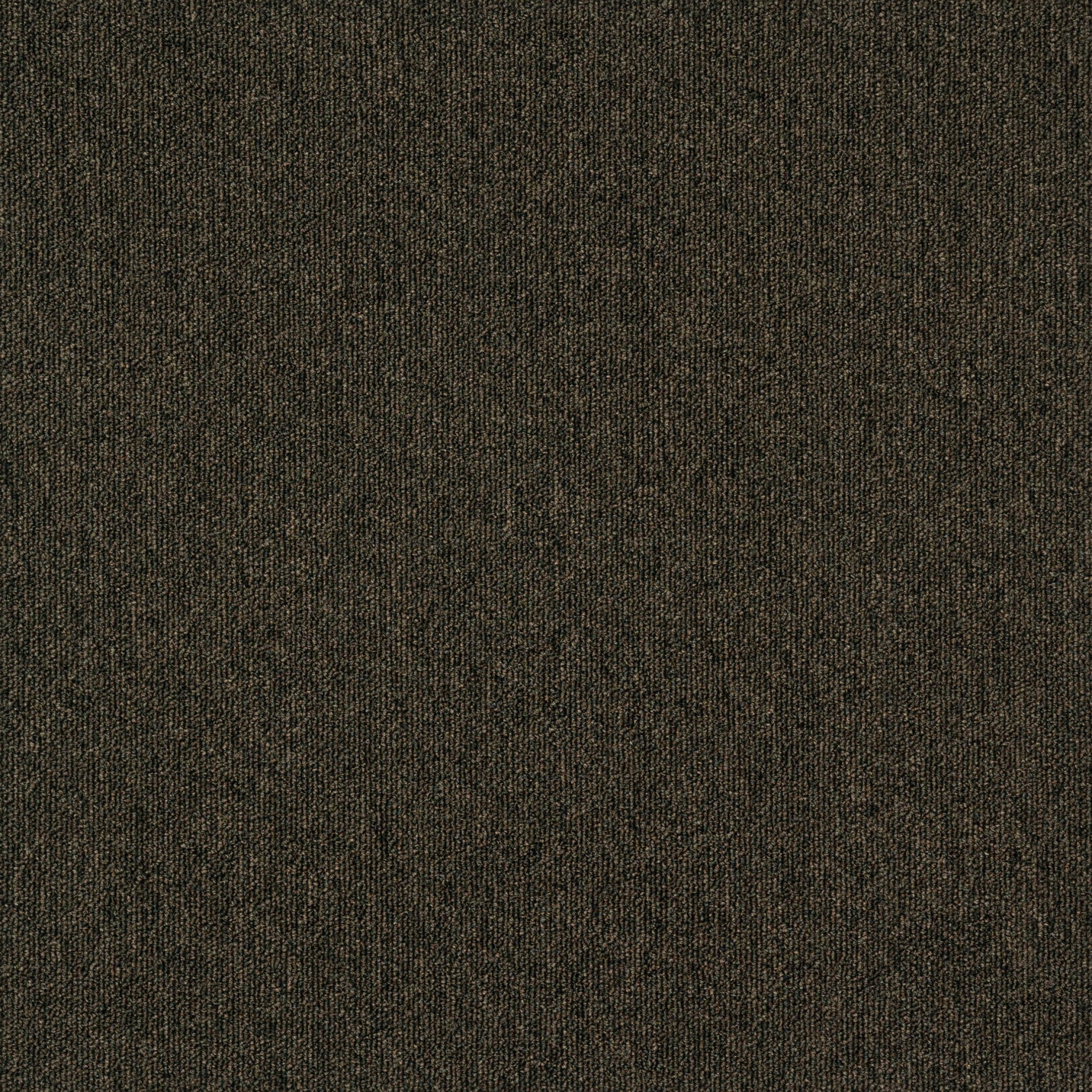 paklajflizes-ivc-creative-spark-848