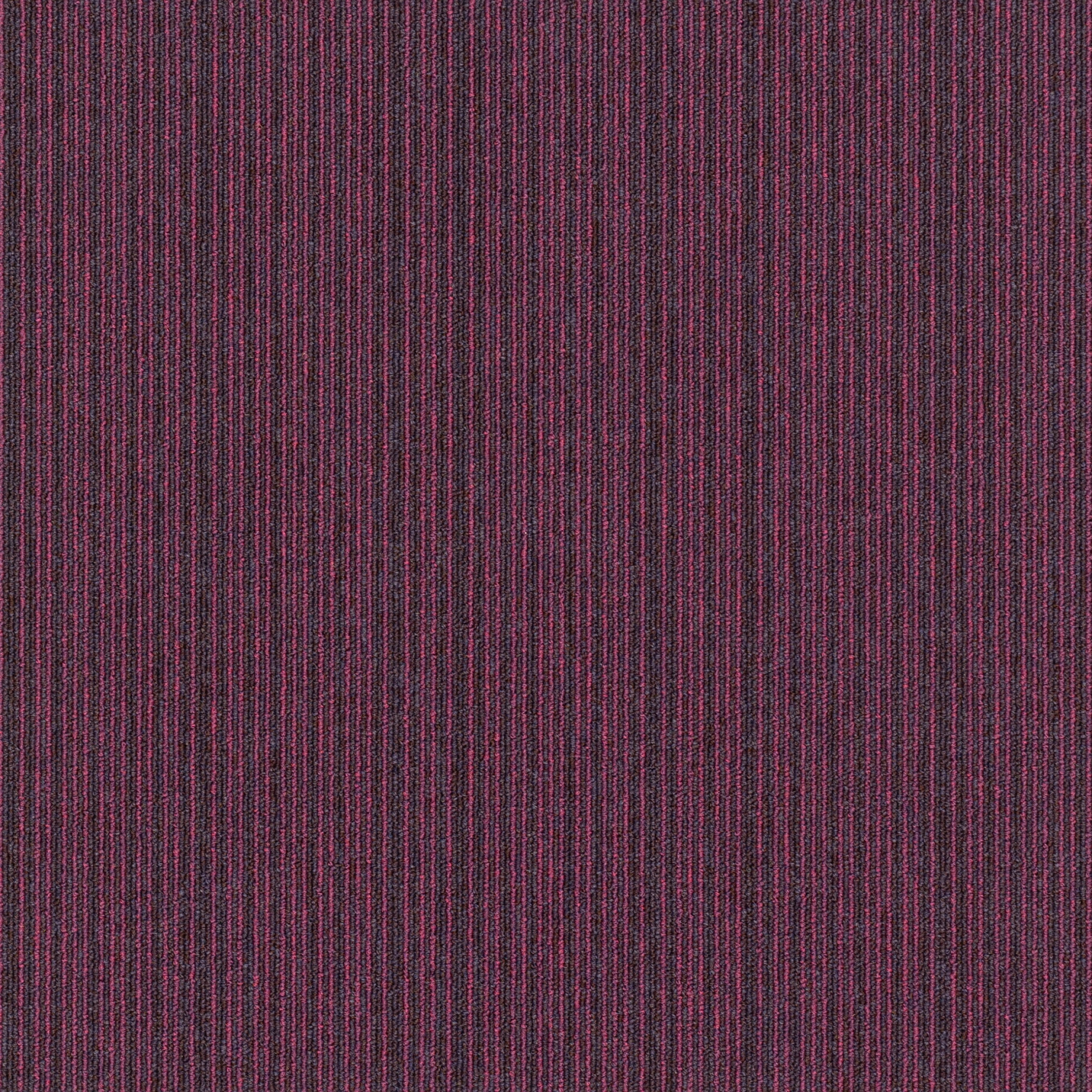 paklajflizes-ivc-art-intervention-expansion-point-478