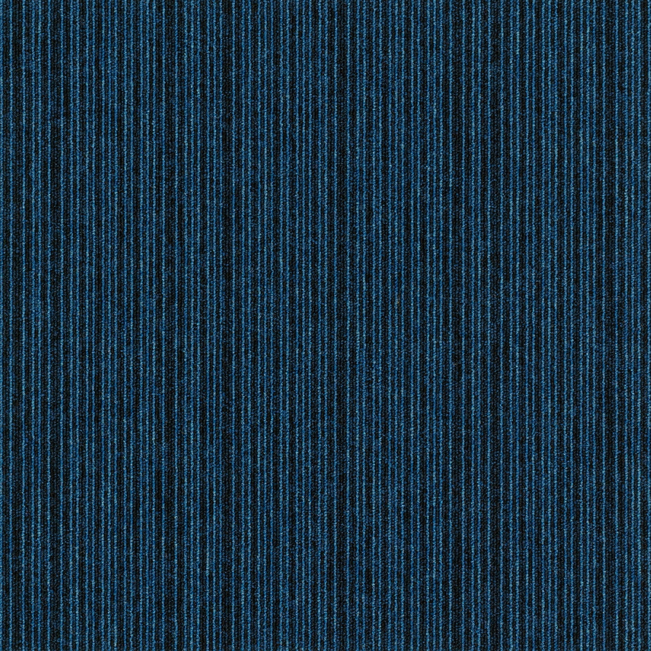 paklājflīzes-ivc-expansion-point-575