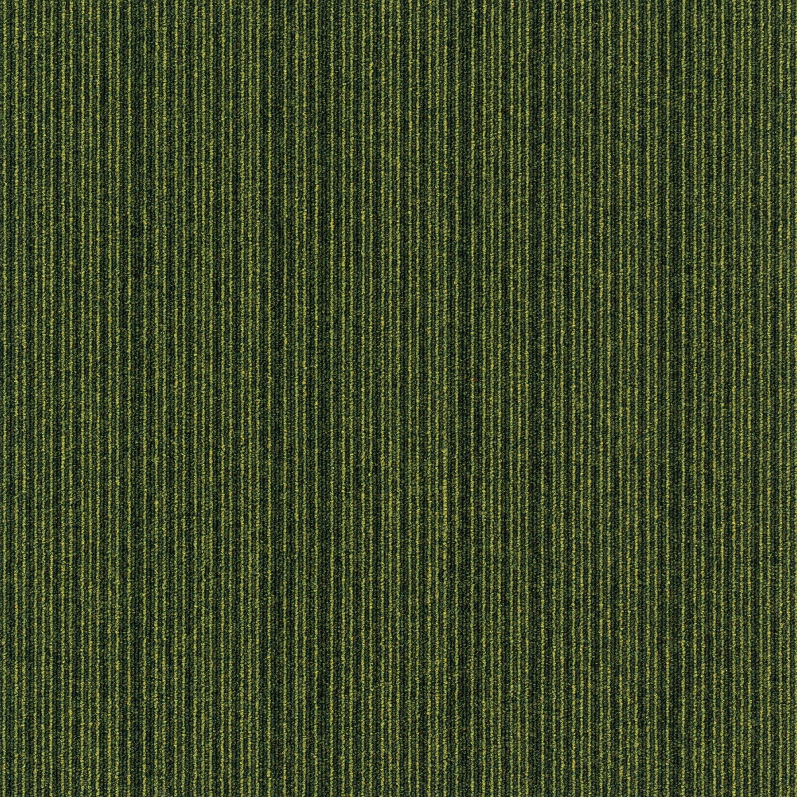 paklajflizes-ivc-expansion-point-621