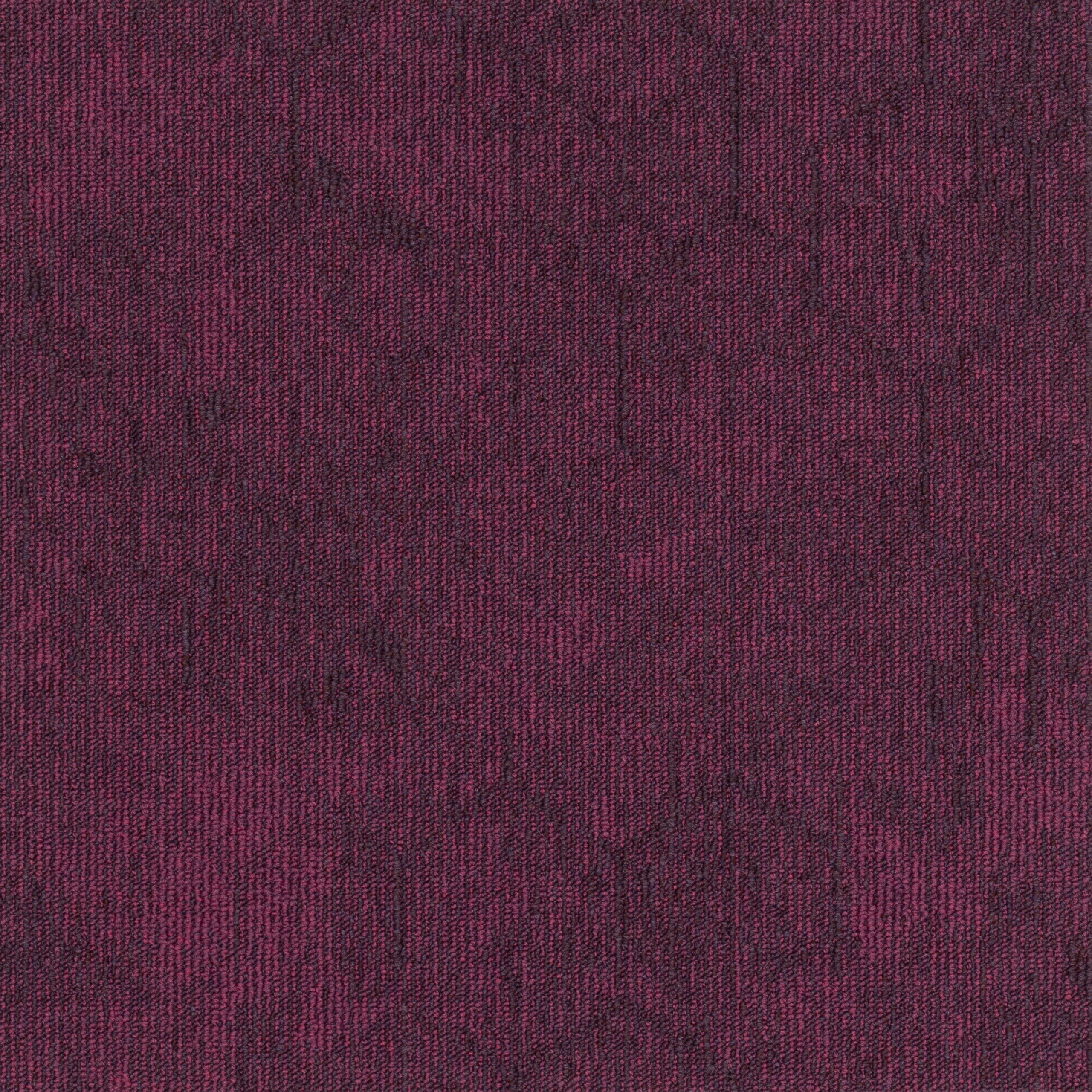 paklajflizes-ivc-contour-perspective-478