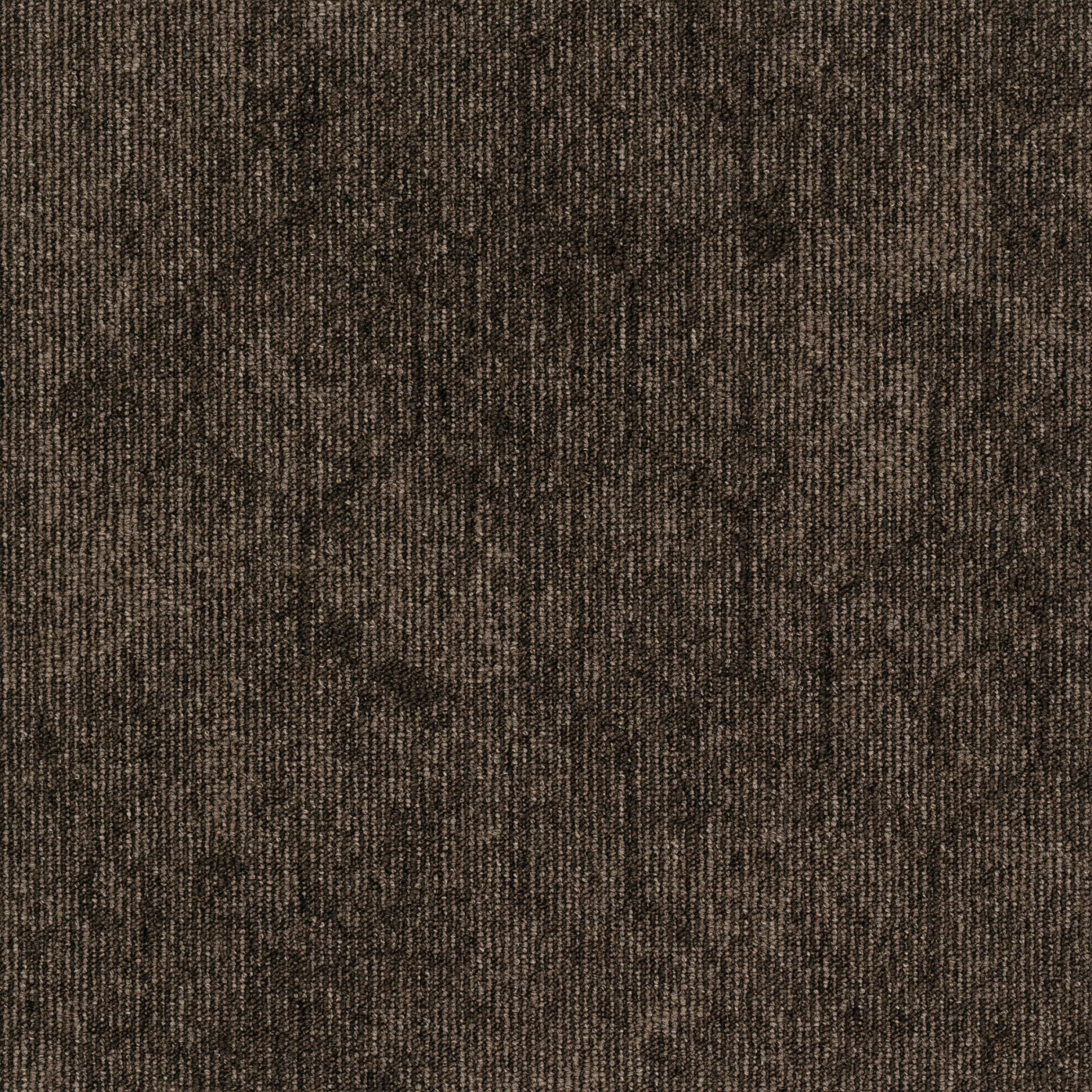 paklajflizes-ivc-contour-perspective-848