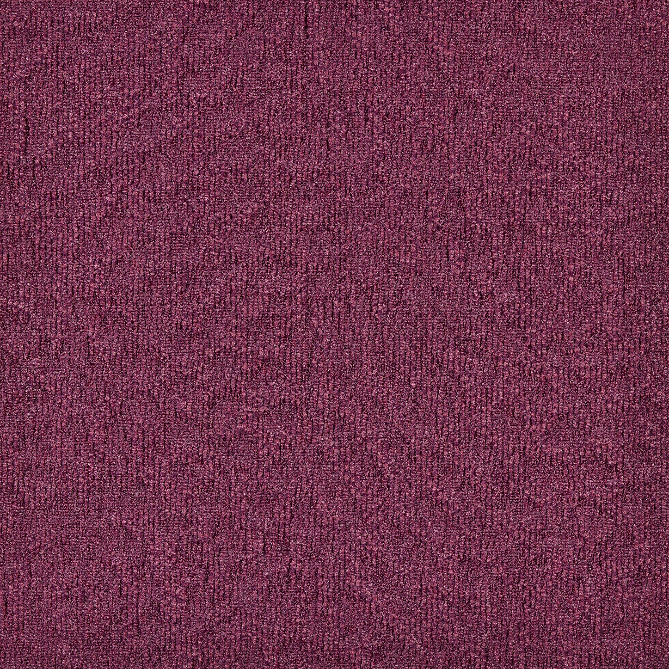 paklajflizes-ivc-immersion-animate-467