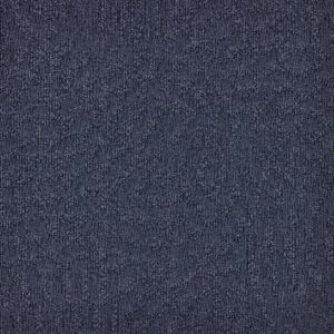 paklajflizes-ivc-immersion-animate-474