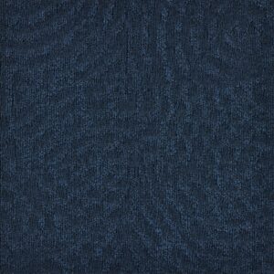 paklajflizes-ivc-immersion-animate-543