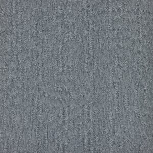 paklajflizes-ivc-immersion-animate-545