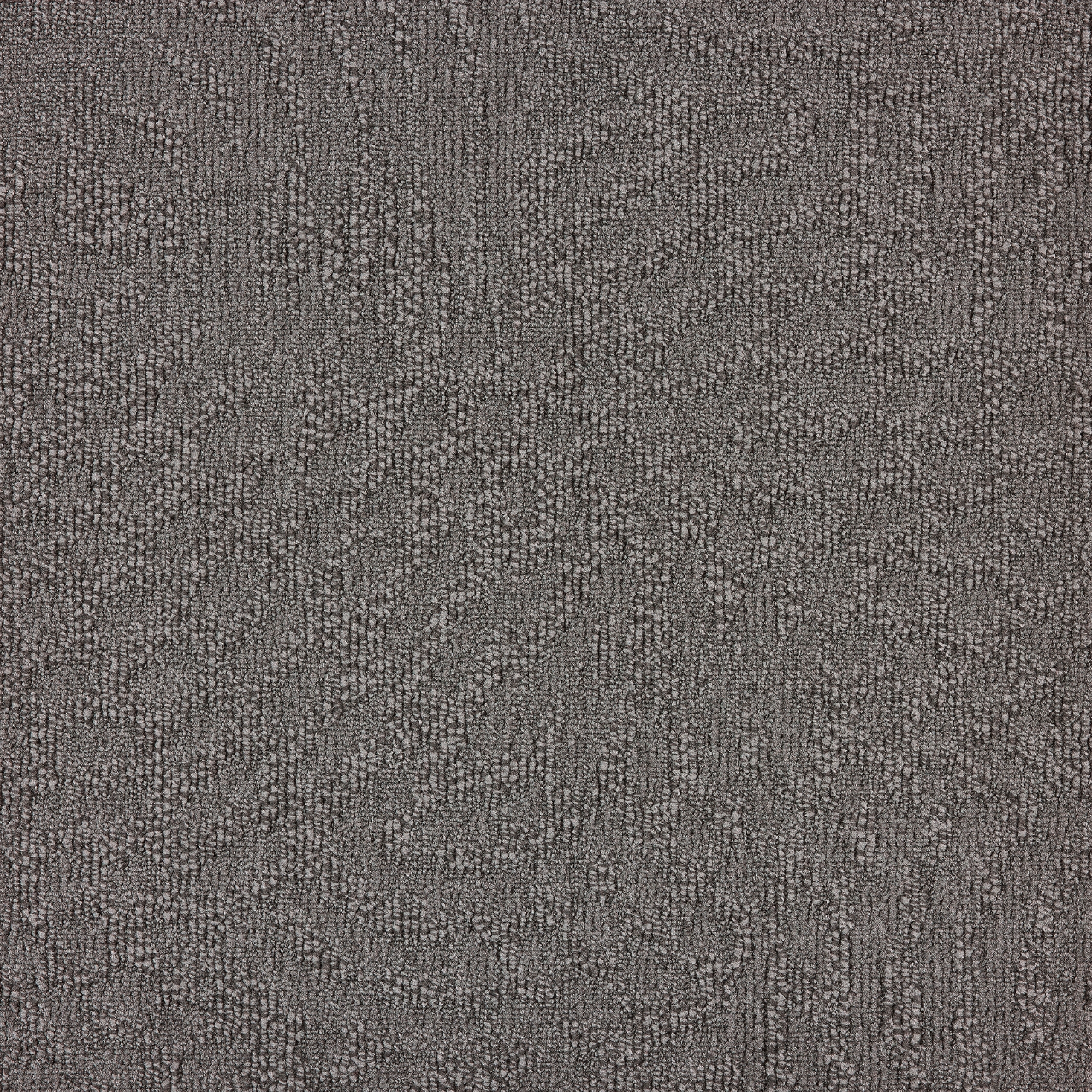 paklajflizes-ivc-immersion-animate-969