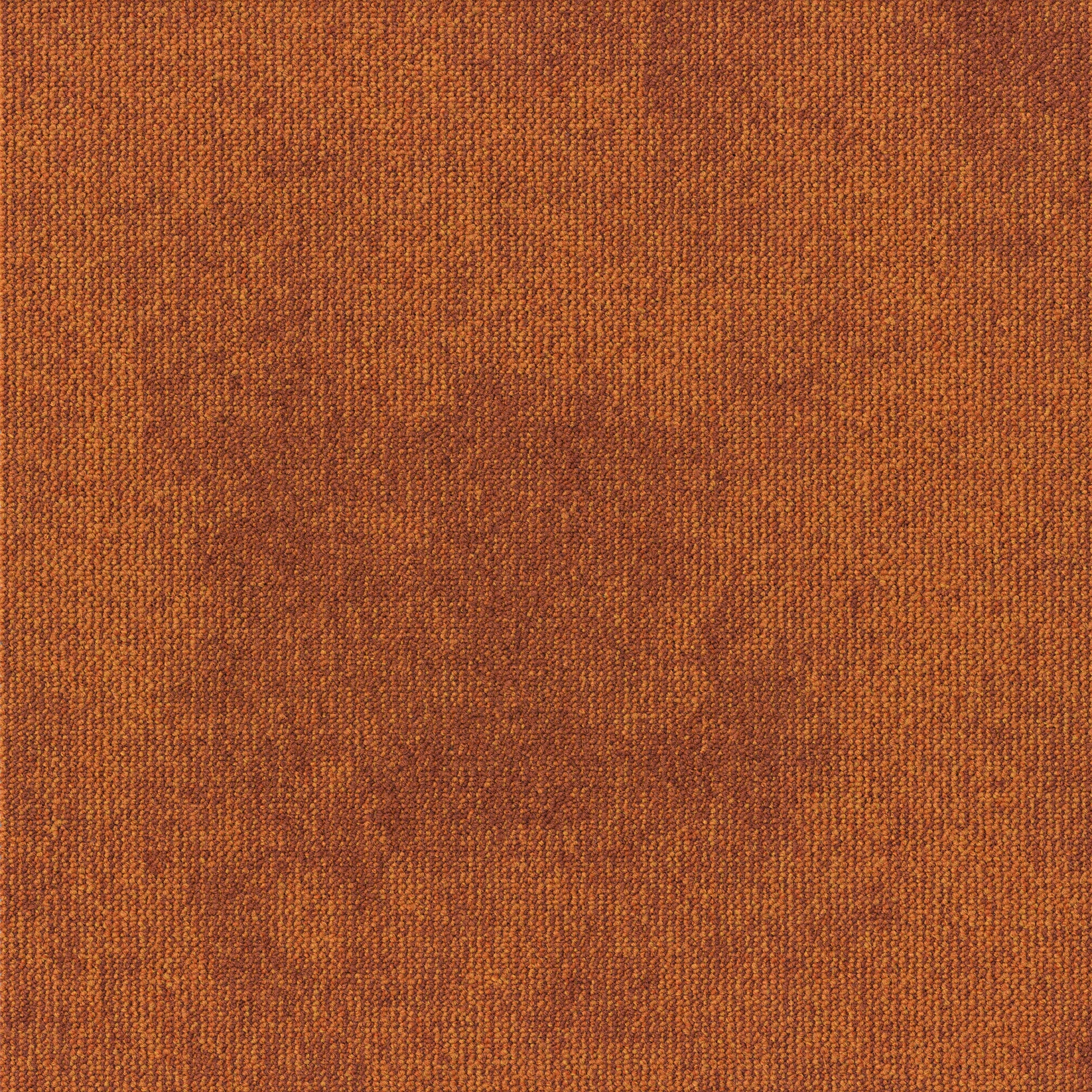 paklajflizes-ivc-rudiments-basalt-273