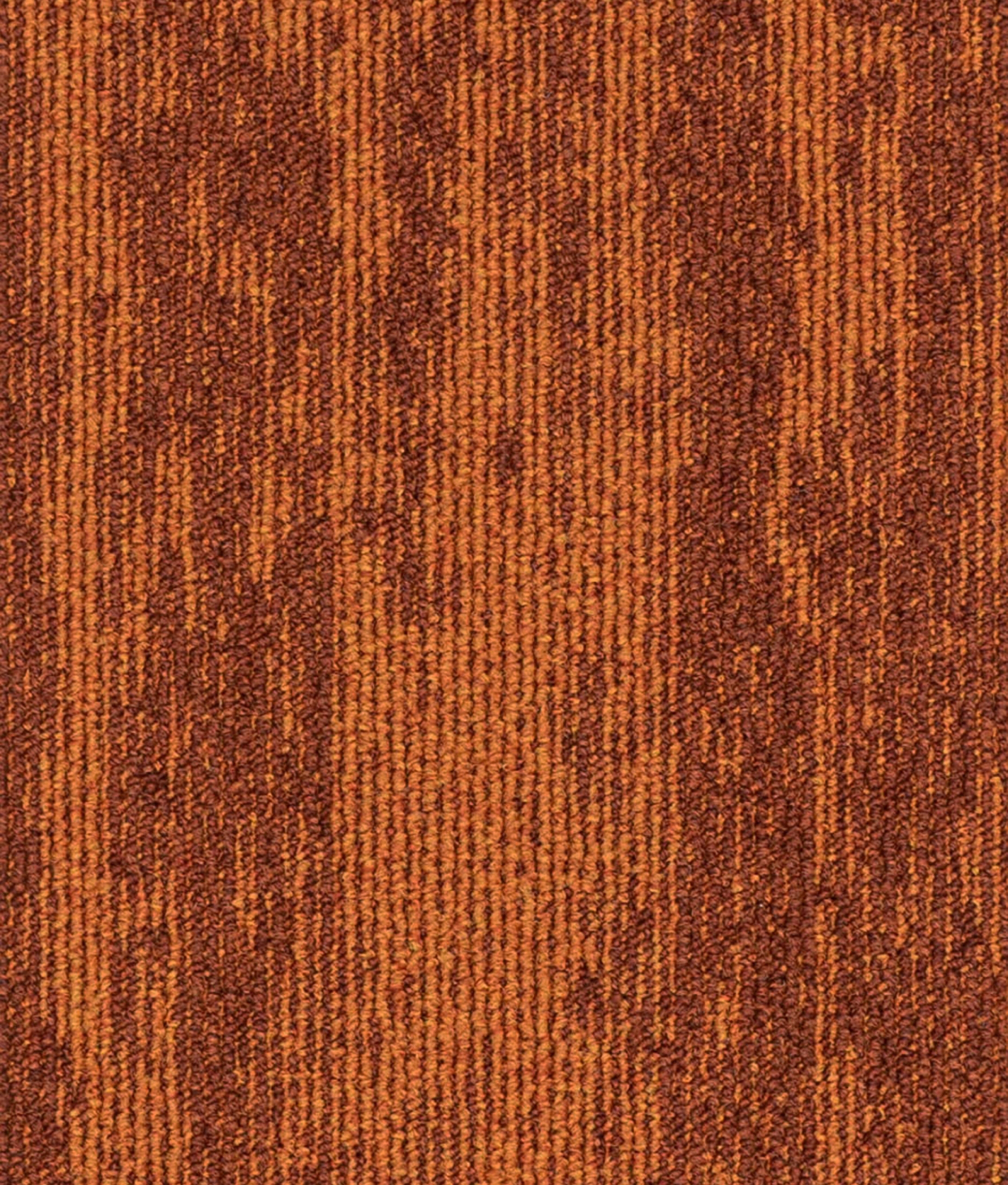 paklajflizes-ivc-rudiments-clay-273