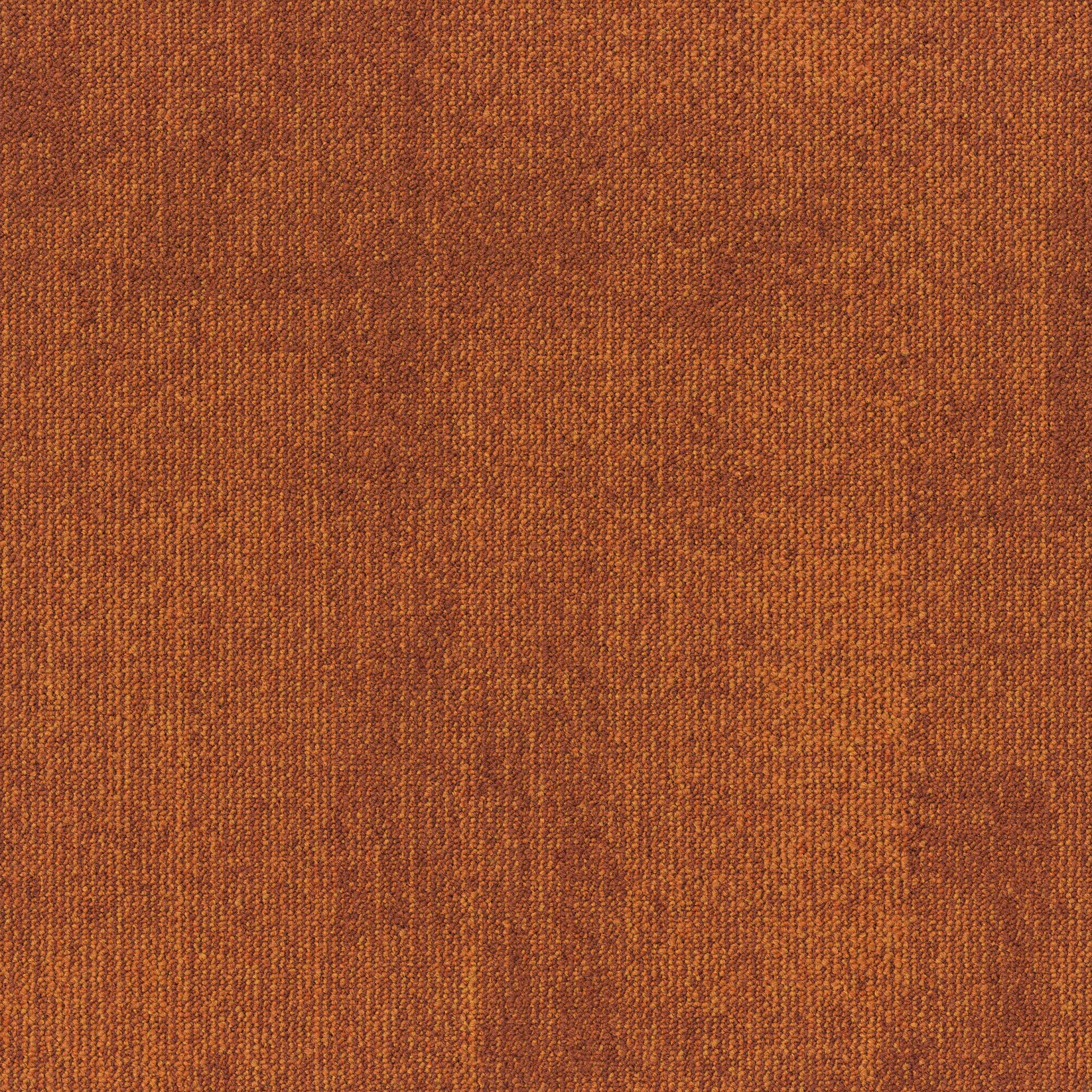 paklajflizes-ivc-rudiments-teak-273