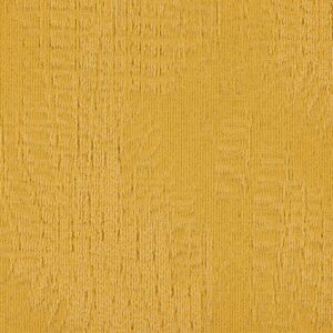 paklajflizes-ivc-immersion-alternate-140