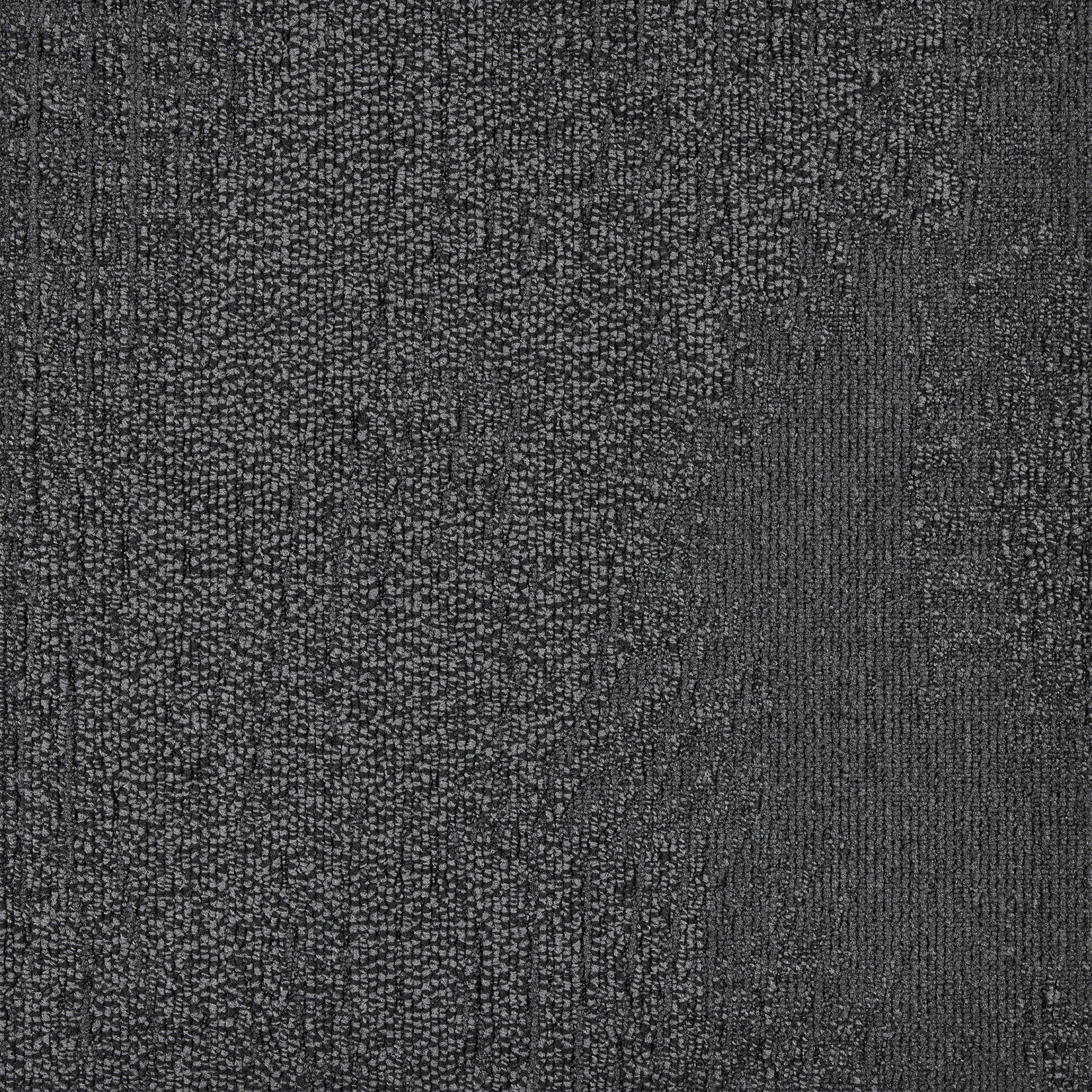 paklajflizes-ivc-immersion-alternate-979