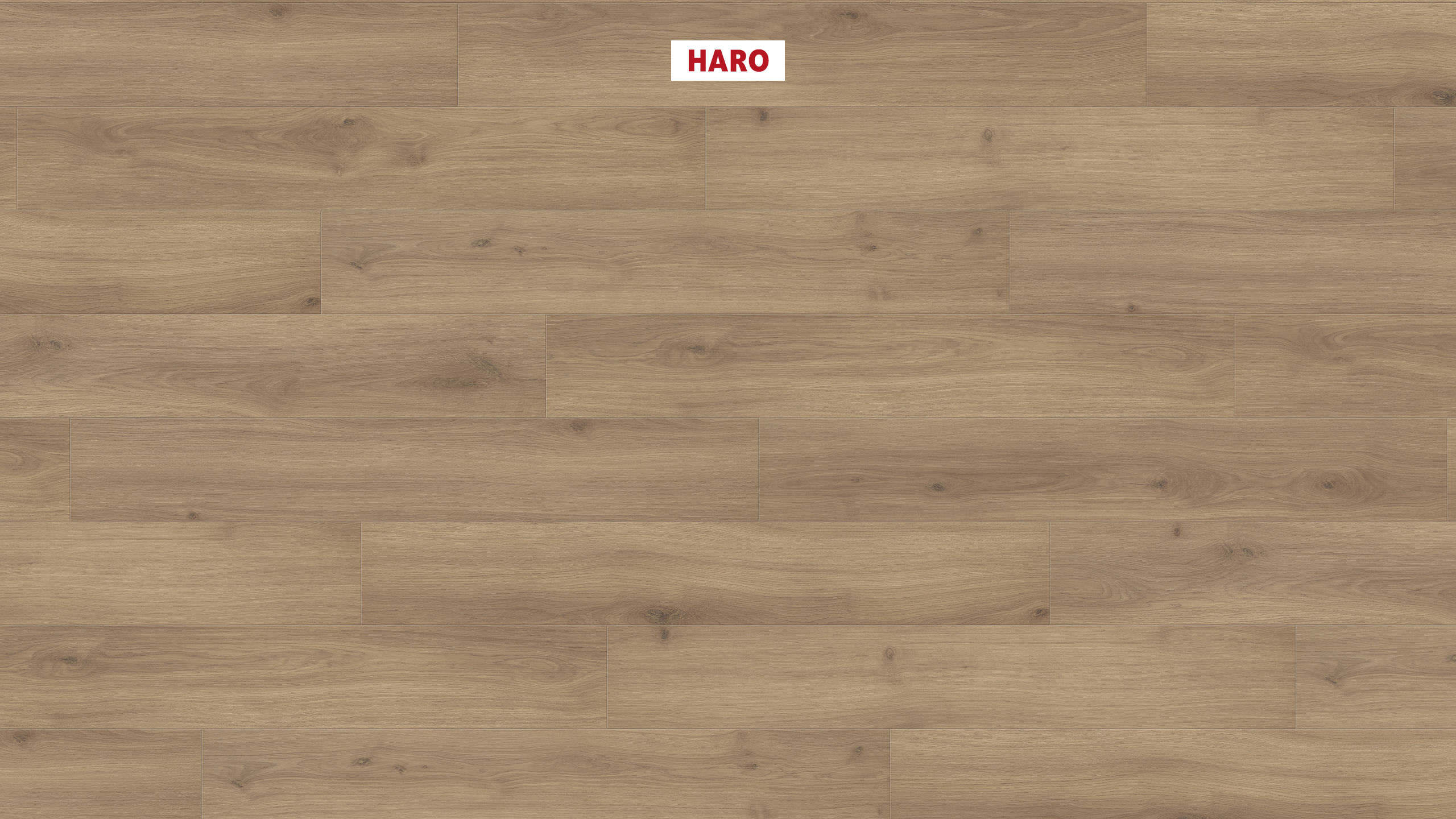 Lamināts HARO Oak Emilia Puro Aqua - Attēls 4
