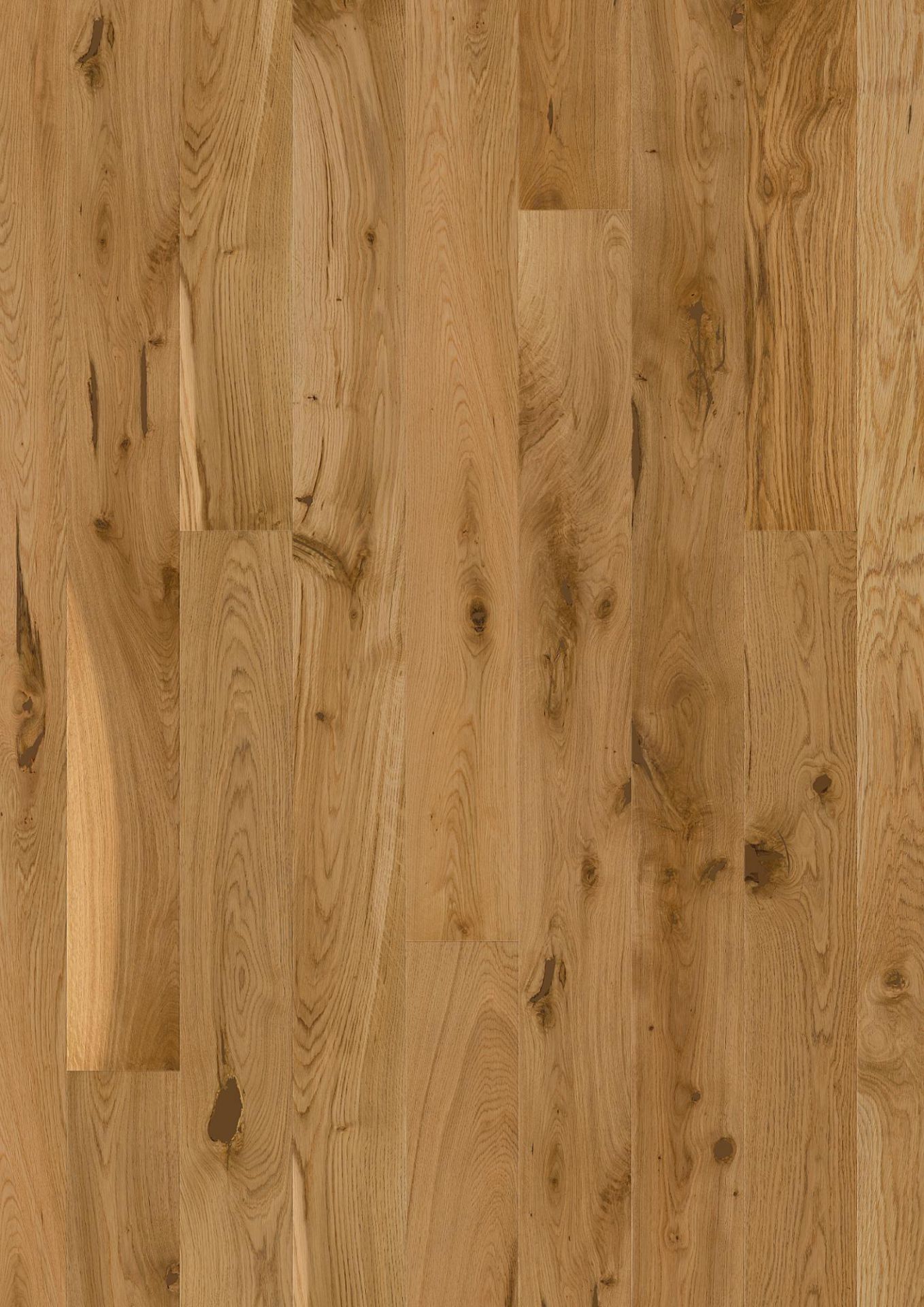 трислан-боен-масло-эспрессо-растения