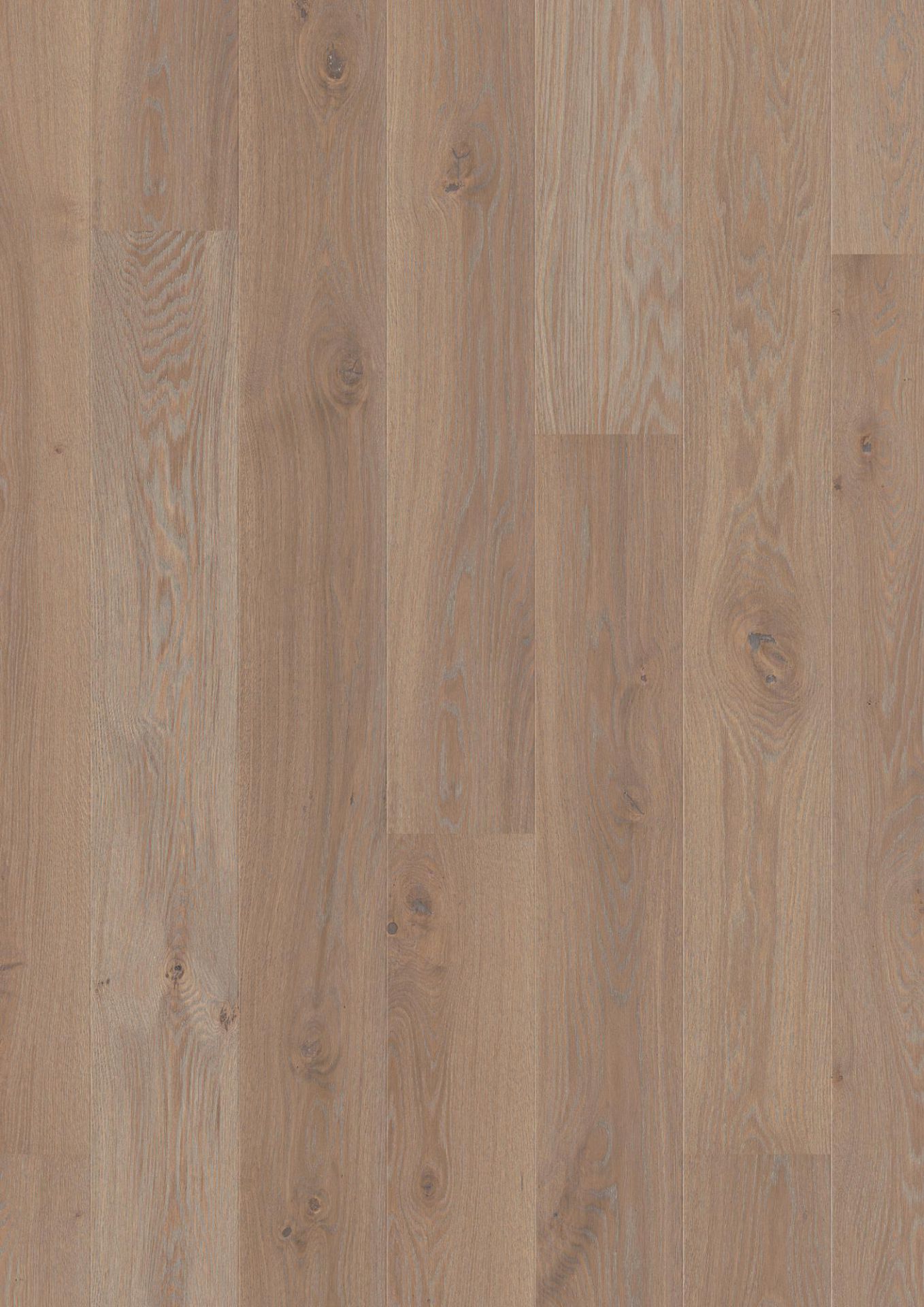 trisslanu-parkets-boen-ozols-flannel-warm-grey-planks