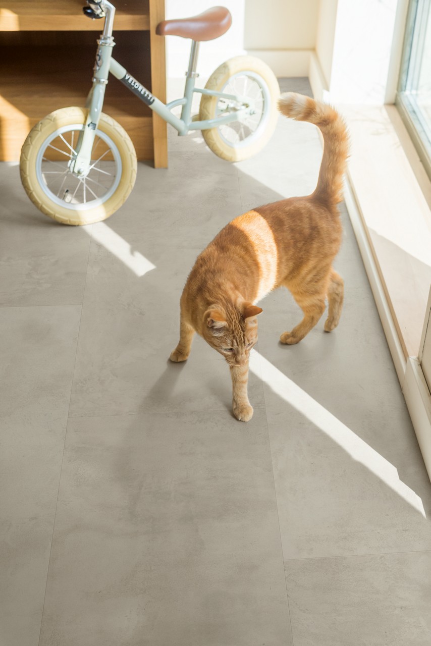 Quick-Step lamināts Muse Grey concrete MUS5488 32. klase
